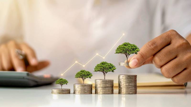 Wealth planning